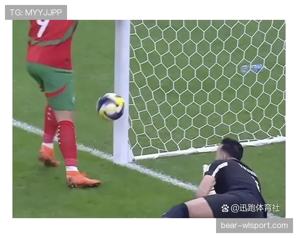 2026世界杯门线技术误判怎么办